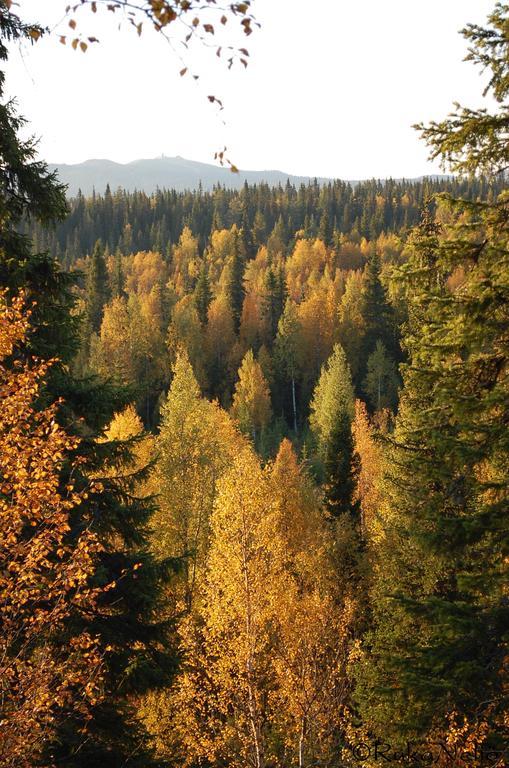 Rukanelioe Cottage Екстер'єр фото
